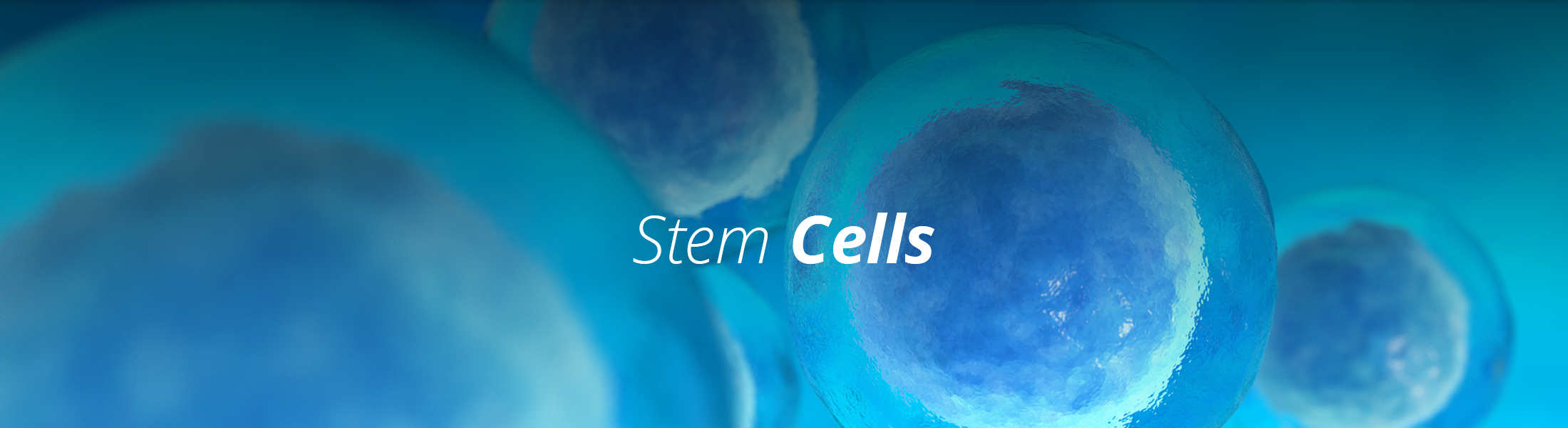 Eliminate Pain & Reverse The Ageing Clock – The Stem Cell Institute of Texas