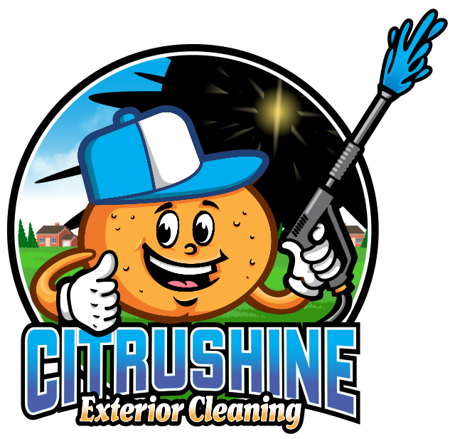 A Conversation with the Founder of CitruShine Exterior Cleaning