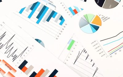 Interview With Afreen Kamal, The Owner Of “Grow And Glow Agency” – Best Digital Marketing Agency In Austin TX