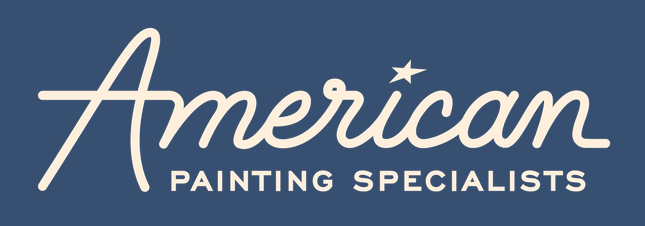 Interview With Owner of American Painting Specialists