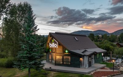 From Opportunity to Ownership: The Story Behind Billo Premium Cannabis