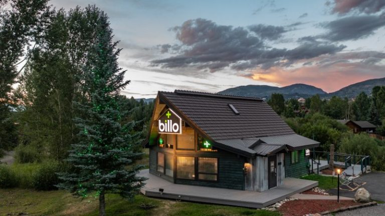 From Opportunity to Ownership: The Story Behind Billo Premium Cannabis