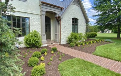 The Artemis Standard: Precision, Passion, and Personalized Spaces