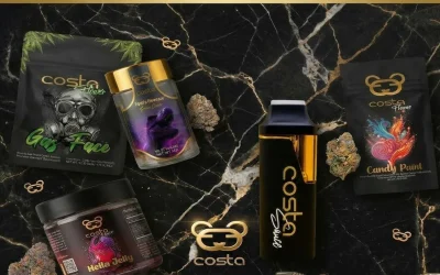 The New Era of Cannabis Branding: Inside Costa’s Growth and Vision