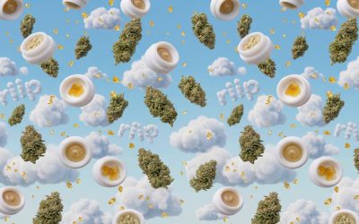 From $61M Real Estate Deals to Building High-Growth Cannabis Brands
